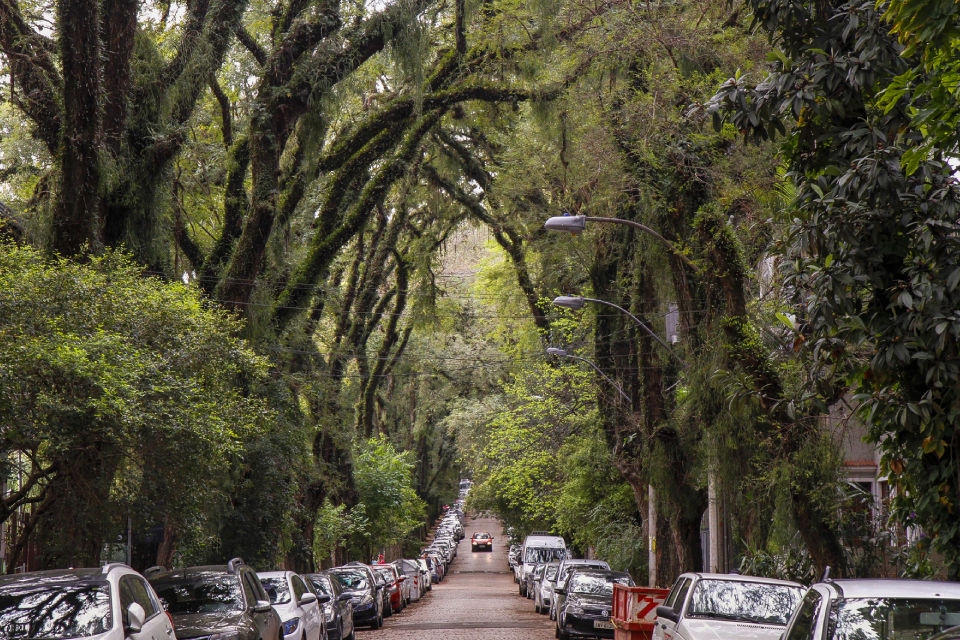 Rua Gonçalo de Carvalho
