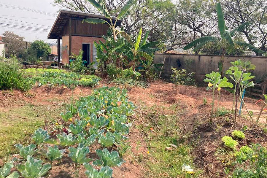 Programa Horta Urbana, que cede espaço para moradores cultivarem seus próprios alimentos, um dos desdobramentos do Plano de Bairro Novo Horizonte e Região.